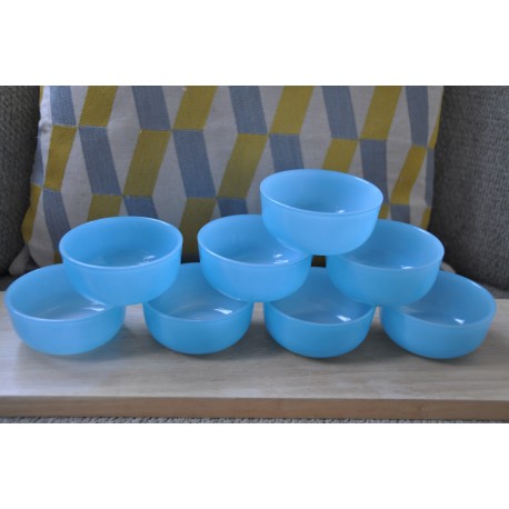 BOLS RAMEQUINS HUILE LESIEUR (X8)