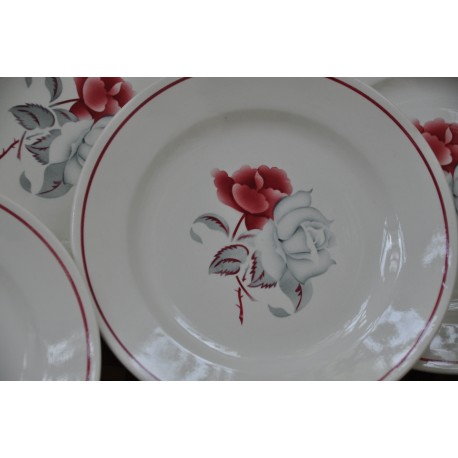 ASSIETTES ROSE BLANCHE DIGOIN SARREGUEMINES FRANCE (X7)