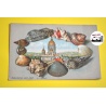 CARTE POSTALE ANCIENNE lithographiée gaufrée BOULOGNE S/MER "La Cathédrale"